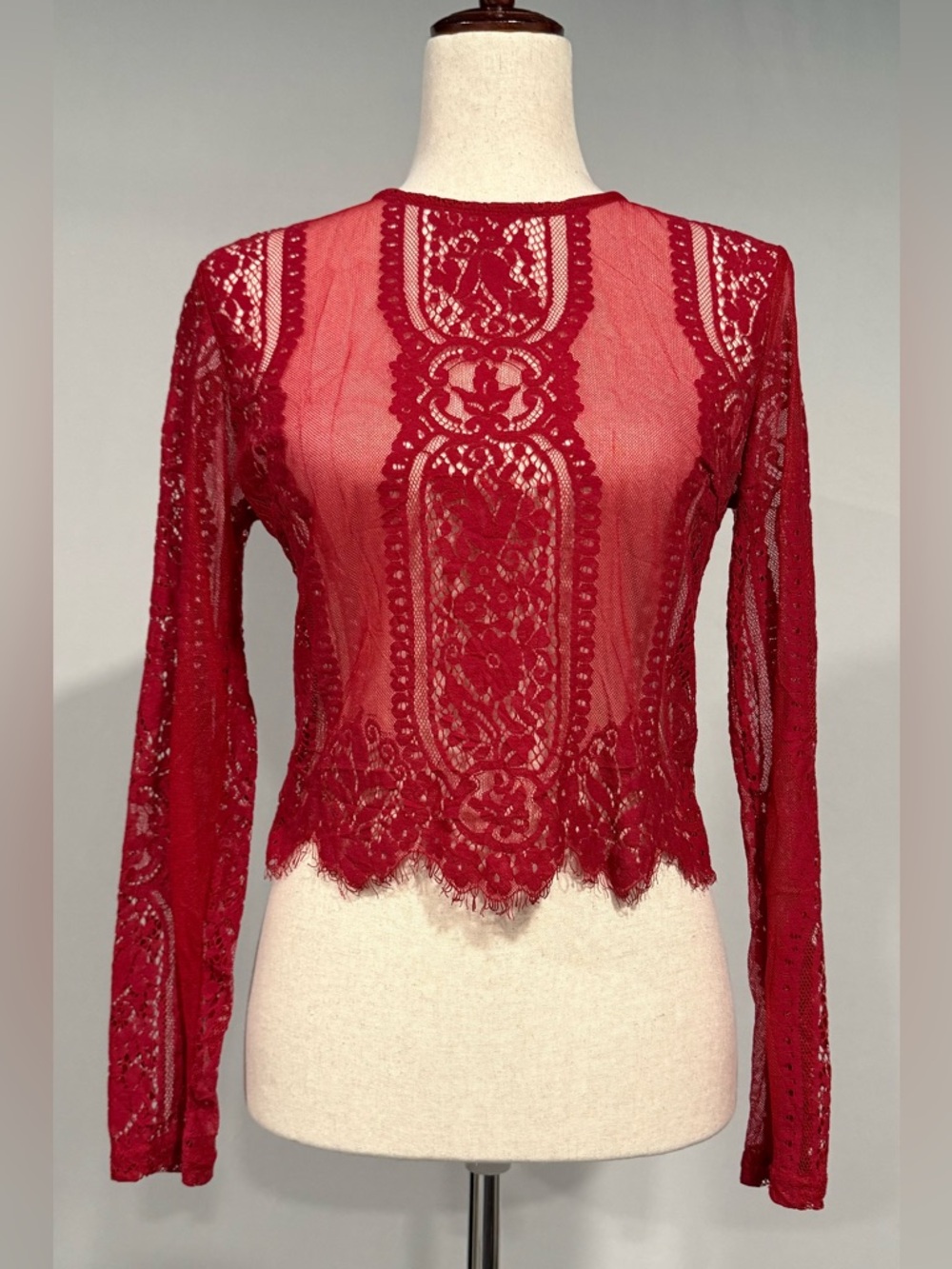 MakeMeChic Women's Burgundy Scallop Trim Sheer Blouse Mesh Lace Crop Top
